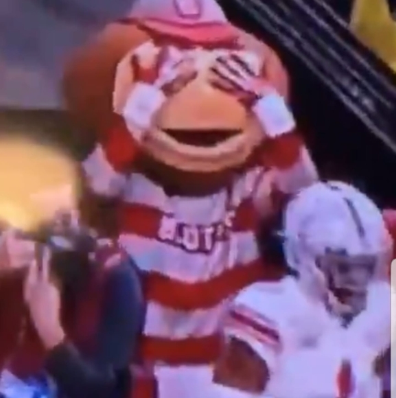 Meet your Posher, Sam - Picture 1 of 1